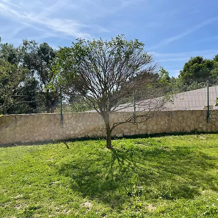 Oliva Ericeria בית הארחה