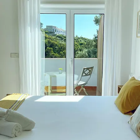 Oliva Ericeria אריסרייה